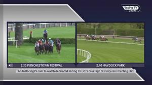 Video preview image for Haydock Park 14:40 - Darley Novice Stakes (2)