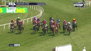 Video preview image for Sandown Park 14:15 - Bet365 Gold Cup Handicap Chase (Premier Handicap) (1)