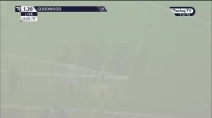 Video preview image for Goodwood 13:20 - William Hill Extra Places Every Day Handicap (3)