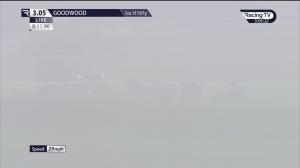 Video preview image for Goodwood 15:05 - William Hill Epic Value Handicap (2)