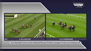Video preview image for Fakenham 16:55 - Jumping For Fun "Grassroots" Maiden Hunters' Chase (5)