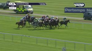 Video preview image for Haydock Park 13:35 - Pertemps Network Long Distance Handicap Hurdle (2)