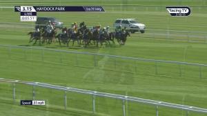 Video preview image for Haydock Park 15:15 - Pertemps Network Swinton Handicap Hurdle (Premier Handicap) (1)