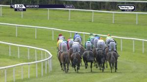 Video preview image for Wexford 14:50 - Sulzer Wexford Celebrating 50 Years In Business Handicap Hurdle 
