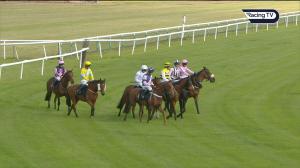 Video preview image for Huntingdon 16:30 - Gowing & Hunt Handicap Hurdle (3)