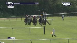 Video preview image for Warwick 14:45 - Logicor Warwickshire Novices' Handicap Hurdle (5)