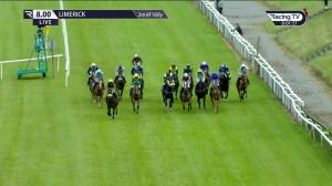 Video preview image for Limerick 20:00 - Springfort Hall Hotel Handicap Chase