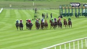 Video preview image for Curragh 16:50 - Irish EBF Auction Series Maiden