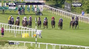 Video preview image for Goodwood 14:05 - William Hill Harroways Handicap (2)