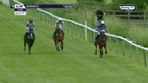 Video preview image for Warwick 18:40 - Fisher German Novices' Handicap Chase (4)