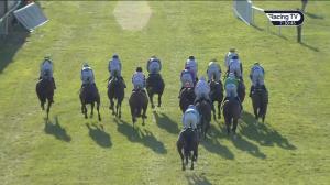 Video preview image for Tramore 19:30 - Copper Coast Maiden Hurdle