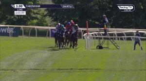 Video preview image for Fakenham 15:00 - British Racing School 40th Anniversary Female Jockeys' Handicap Hurdle (5)
