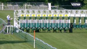 Video preview image for Nottingham 17:15 - Racing TV Profits Returned To Racing Handicap (6)