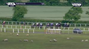 Video preview image for Fairyhouse 18:30 - Glashaus Hotel Maiden