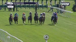 Video preview image for Haydock Park 13:15 - Sky Bet Achilles Stakes (Listed) (1)