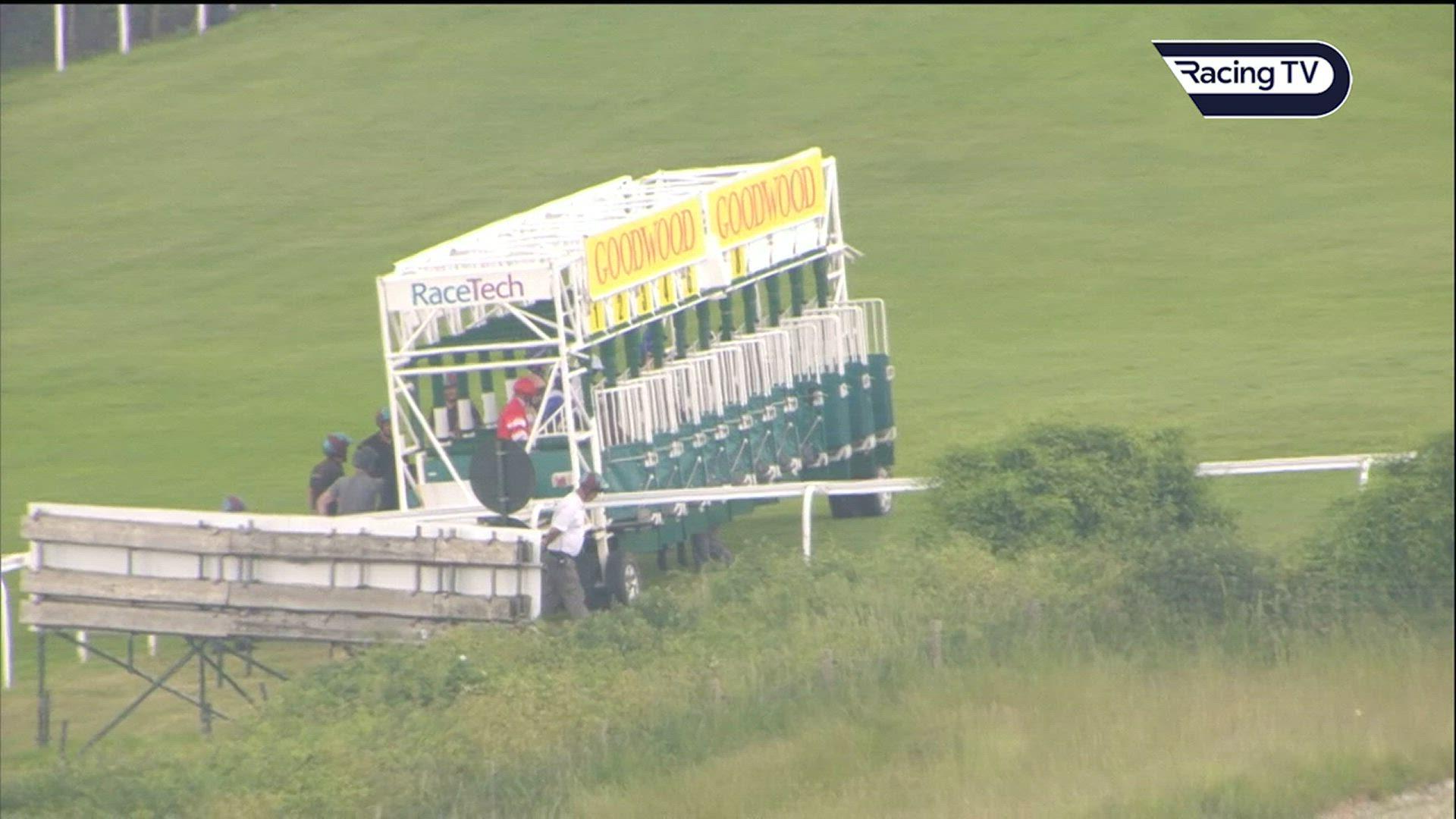 Al Asifah has Irish Oaks in sights after Goodwood romp