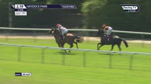 Video preview image for Haydock Park 14:10 - Jewson Tool Hire Apprentice Handicap (4)