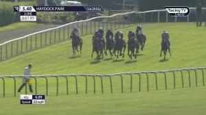Video preview image for Haydock Park 17:40 - King's Moss Handicap (Qualifier) (5)