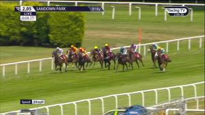 Video preview image for Sandown Park 14:05 - Molson Coors Handicap (Qualifier) (4)