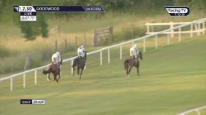 Video preview image for Goodwood 19:50 - Michael Leahy Memorial Handicap (4)