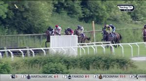Video preview image for Stratford-on-Avon 17:10 - Join RacingTV Now Novices' Handicap Chase (5)