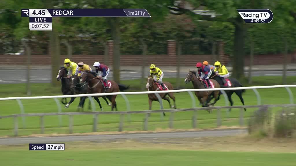 Perfect Play Race Record, Statistics & Wins Racing TV