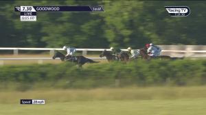Video preview image for Goodwood 19:30 - Nicholson Gin Maiden Stakes (4)