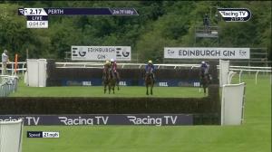 Video preview image for Perth 14:17 - Martin Pibworth Half Century Stakes Novices' Handicap Chase (4)