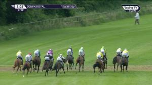 Video preview image for Down Royal 17:05 - Weatherbys Digital Solutions Handicap