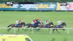 Video preview image for Limerick 19:00 - Limerick Racecourse Fillies Handicap
