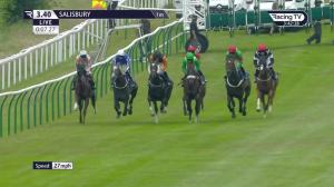 Video preview image for Salisbury 15:40 - Havana Grey Standing At Whitsbury Manor Handicap (2)