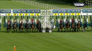 Video preview image for Newbury 17:05 - BetVictor Apprentice Handicap (5)