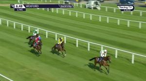 Video preview image for Wexford 18:48 - Msk Silversands Beginners Chase 