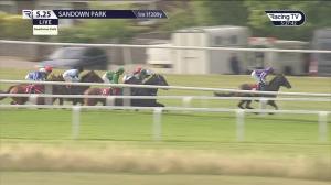Video preview image for Sandown Park 17:25 - Coral 'Get Closer To The Action' Handicap (4)