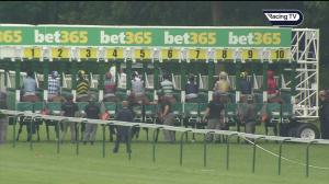 Video preview image for Haydock Park 17:00 - Best Odds Guaranteed At bet365.com Handicap (3)