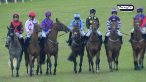 Video preview image for Bellewstown 19:30 - Adare Manor Opportunity Handicap Hurdle (Div 2)