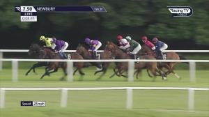 Video preview image for Newbury 19:50 - Pegasus Pump Novice Stakes (4)