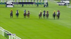 Video preview image for Newbury 13:15 - Bet365 EBF Novice Stakes (4) (Div 1)