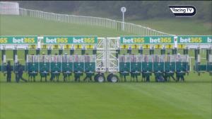 Video preview image for Newbury 16:10 - Bet365 EBF Novice Stakes (4) (Div 2)