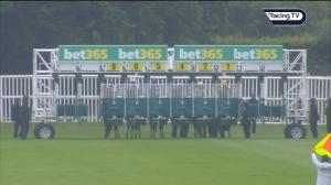 Video preview image for Newbury 17:20 - British EBF Premier Fillies' Handicap (3)
