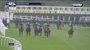 Video preview image for Sandown Park 19:40 - Verve Way Handicap (Qualifier) (4)