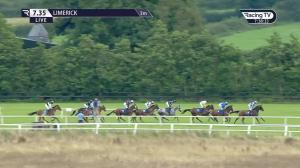 Video preview image for Limerick 19:35 - Panoramic Restaurant At Limerick Races Handicap Hurdle
