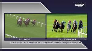 Video preview image for Newbury 19:45 - Bob Barker Memorial Handicap (5)