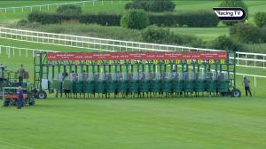 Video preview image for Leopardstown 20:22 - Horseraces Single Member S.A. Of Greece Handicap