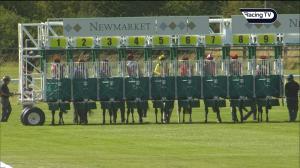 Video preview image for Newmarket 16:45 - Barry Stewart and Sons 40th Anniversary Handicap (Qualifier) (5)