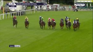 Video preview image for Goodwood 17:55 - World Pool Handicap (3)