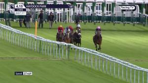 Video preview image for Haydock Park 16:15 - Race To A Cure For Mnd Newcomers' Restricted Maiden Stakes (4)