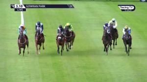 Video preview image for Gowran Park 17:10 - Open Week At Gowran Park Handicap