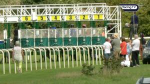 Video preview image for Pontefract 14:55 - Kenneth Hawley Memorial Restricted Novice Stakes (4)