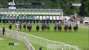 Video preview image for York 14:25 - Goffs UK Harry Beeby Premier Yearling Stakes (2)